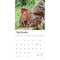 Roosters | 2026 12 x 24 Inch (Hanging) Monthly Square Wall Calendar | Plastic-Free